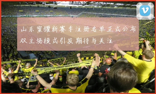 山东蜜獾新赛季注册名单正式公布双主场模式引发期待与关注